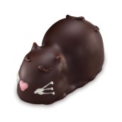 Chocolate Kitty  Cat