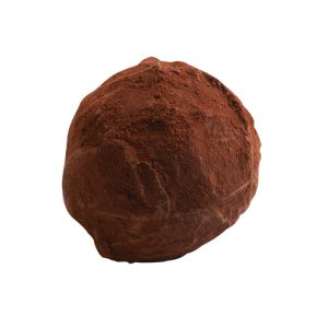 Classic European Truffle