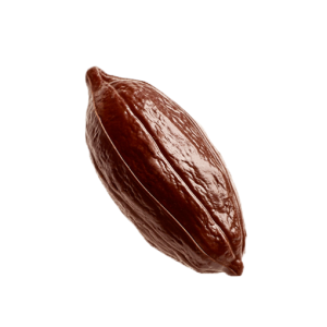 Criollo 45% Milk