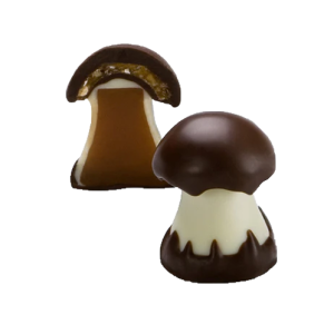 Caramel Mushroom