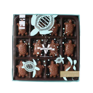 Turtle Shaped Chocolates Box