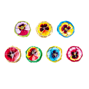 Pansies Milk Chocolate Bag