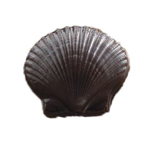 Sweet Shells